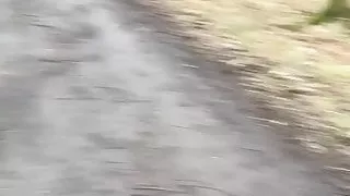 Schnelles und riskantes Wichsen in der Öffentlichkeit!