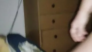 Lisa la vacca a smorzacandela