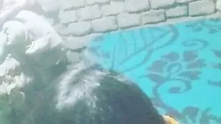 bihari romance  gf boyfriend 