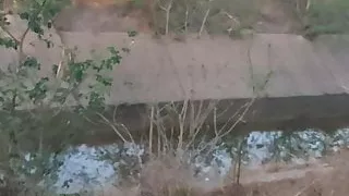 Geji, Samozadovoljevanje, Zunaj, Javno