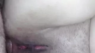 Bbw anal, my brother was begging to breed me