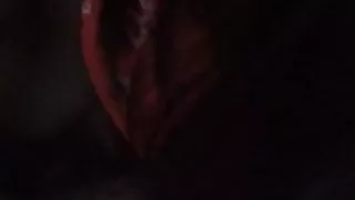 shy blowjob (no cumshot)