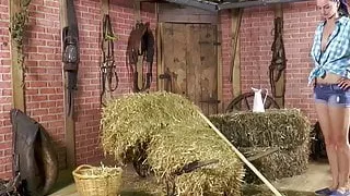 Scheunenfund, blondes Teen anal abgeritten