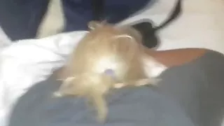 Norwegian milf doggy on Kielboat