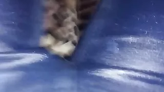 sammie crossed slow pee in jeans