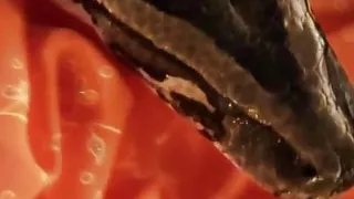 Feeling The Erotic Bollywood Night Away To Feel The