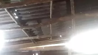 Nude girls show body