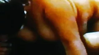 Loves the camera dick sucking