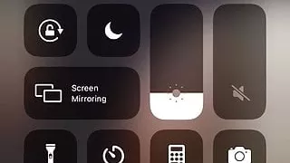 M.Williams Fat Pussy