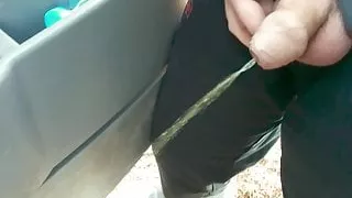 Van Driver Piss Break At Work - SlugsOfCumGuy