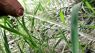 Indian boy pissing in outdoor area