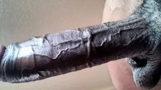 BBC CHALLENGE - RED LIGHT – GREEN LIGHT