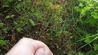 Quick jerk in the park