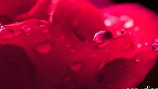 Do You Remember? Erotic Audio by Eve's Garden