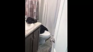 hubby jerk and take video for her wife fucked