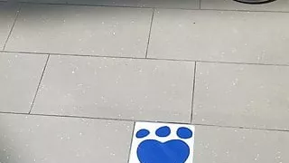 Beautiful young legs in mall