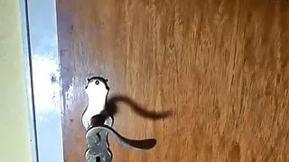 Blonde Schweizer Frau Muschi Ficken