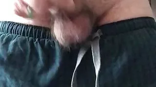 Morning sunlight on hairy balls