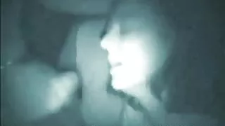 Summer Night DOGGING