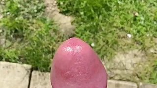 Just sucked off the dpd guy