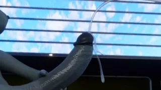 Raven Pounds Starfire With Her Futanari Cock Female Version