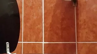 Toilet  piss cleaning