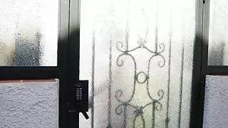 Friendly Neighbors Fuck