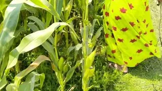 Outdoor girl came back to his house and had sex