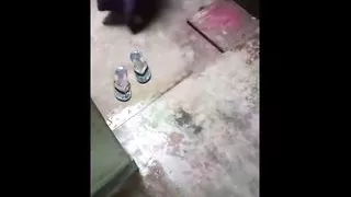 Holi Ke Din Apni Bhabhi Se Lund Chuswaya