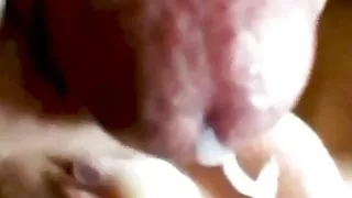 Usporeno i detaljno svrsavanje po njoj