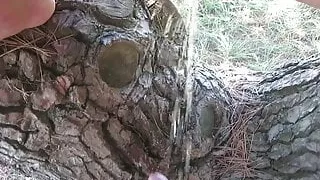 Ada bojana-beach sex