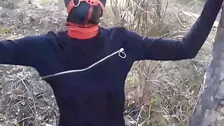 Tied up to a tree, outdoors in sexy clothes, ball gagged