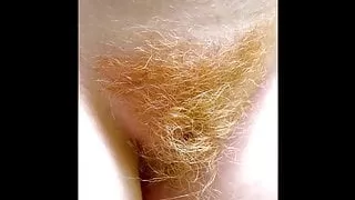 Precious Ginger 1570