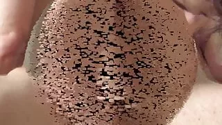 Lady Sonya, Madame Carla, Cruel Daisy and Princess Valerie