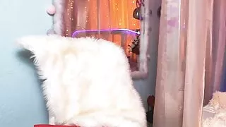 masturbating on camera, big ass, naked tits, sweet pussy