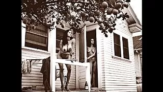 Secretly Aroused in Retro Monochrome 3285