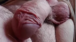 The dick and the tights