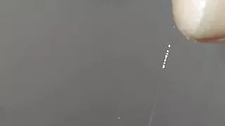 Midiendome la polla con una regla. 9-5-21.