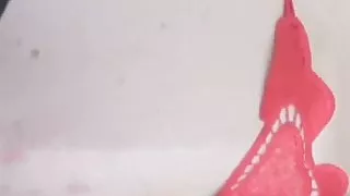 Analsex, Creampie, Domina, Ladyboy