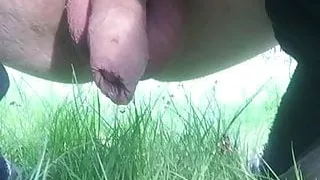 Smilis pissing  outside