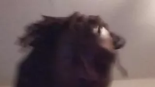 All that ass, an ssbbw ebony whore story