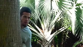 Novinha fudendo gostoso