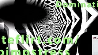 Pimpstress RED teamviewer Experienced