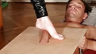 Cock stomping & slapping, bare feet by latex dominatrix pt1