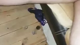 ortama bak amina koyayim