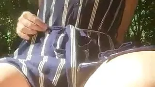 Time for a picnic in the woods