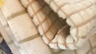 Dirty panties in the laundry