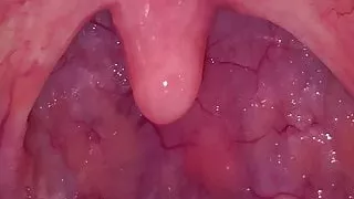 close encounter with my tongue - high definition  trailer