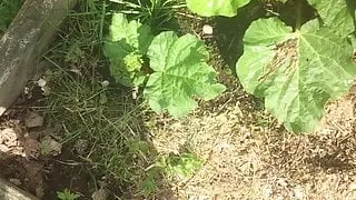 Smilis pee outside 2