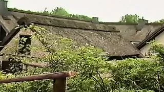 Foxy Lady's Kamera 2